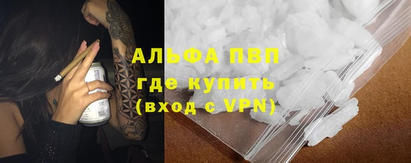 PSILOCYBIN Верхний Тагил