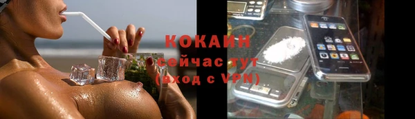 PSILOCYBIN Верхний Тагил